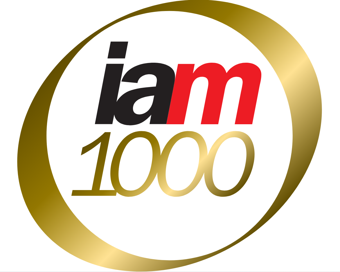 IAM 1000 logo.PNG